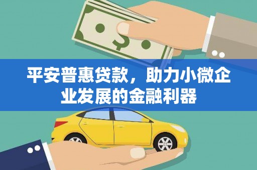 大武平安普惠贷款，助力小微企业发展的金融利器