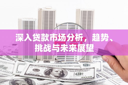 大武深入贷款市场分析，趋势、挑战与未来展望