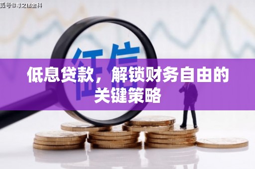 大武低息贷款，解锁财务自由的关键策略