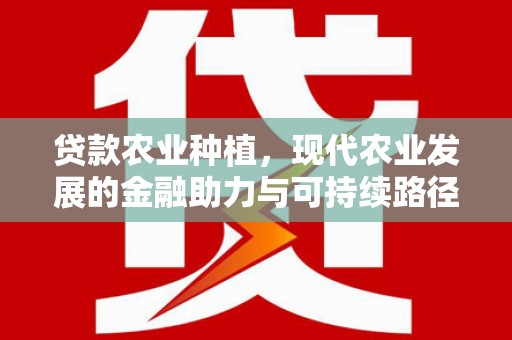 大武贷款农业种植，现代农业发展的金融助力与可持续路径