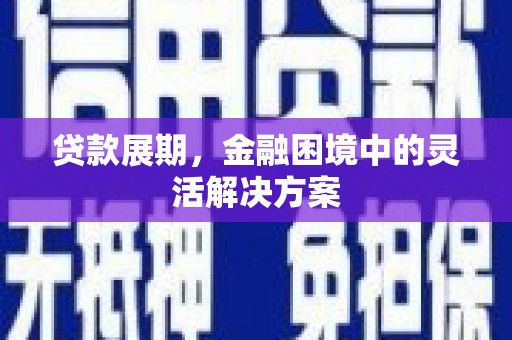大武贷款展期，金融困境中的灵活解决方案