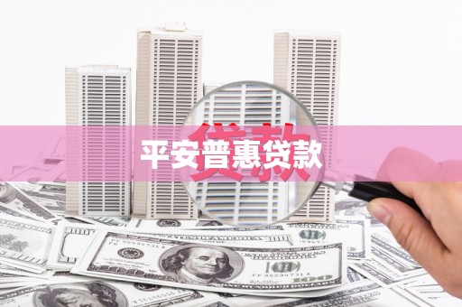 大武平安普惠贷款