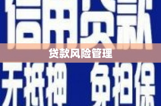 大武贷款风险管理