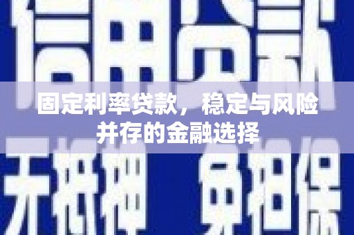 大武固定利率贷款，稳定与风险并存的金融选择