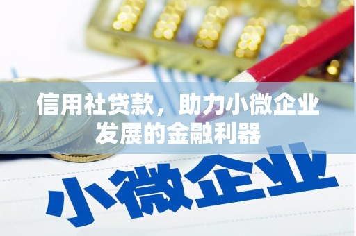 大武信用社贷款，助力小微企业发展的金融利器