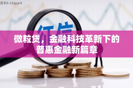 大武微粒贷，金融科技革新下的普惠金融新篇章