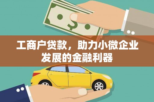 大武工商户贷款，助力小微企业发展的金融利器