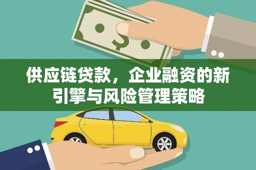 大武供应链贷款，企业融资的新引擎与风险管理策略