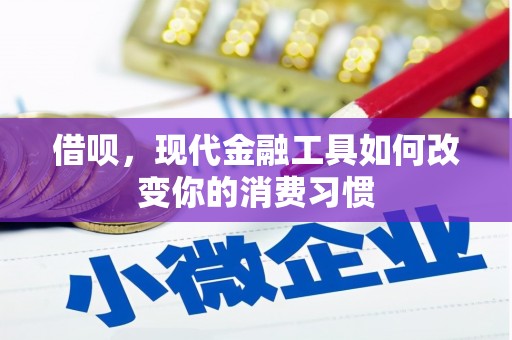 大武借呗，现代金融工具如何改变你的消费习惯