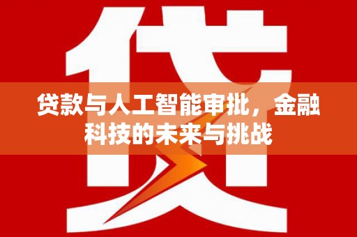 大武贷款与人工智能审批，金融科技的未来与挑战