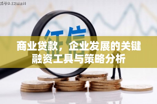 大武商业贷款，企业发展的关键融资工具与策略分析