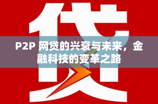 大武P2P 网贷的兴衰与未来，金融科技的变革之路