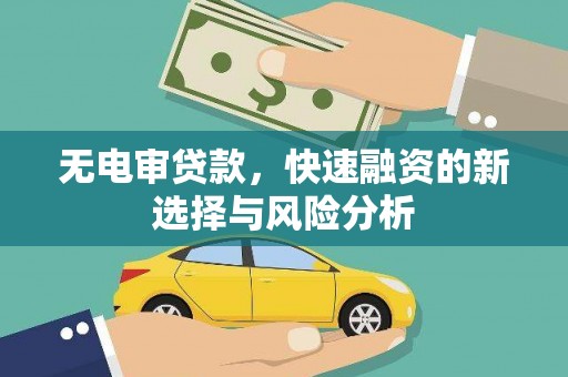 大武无电审贷款，快速融资的新选择与风险分析