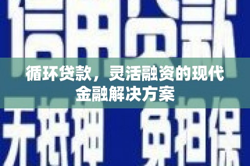 大武循环贷款，灵活融资的现代金融解决方案