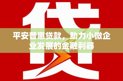 大武平安普惠贷款，助力小微企业发展的金融利器