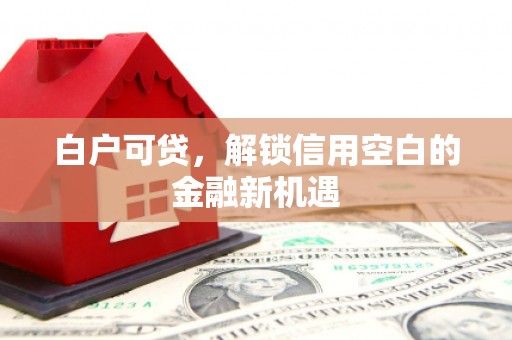 大武白户可贷，解锁信用空白的金融新机遇