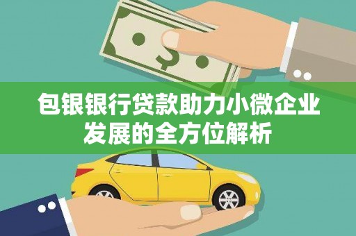 大武包银银行贷款助力小微企业发展的全方位解析