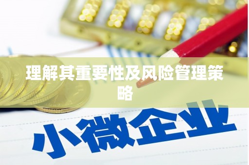 大武理解其重要性及风险管理策略