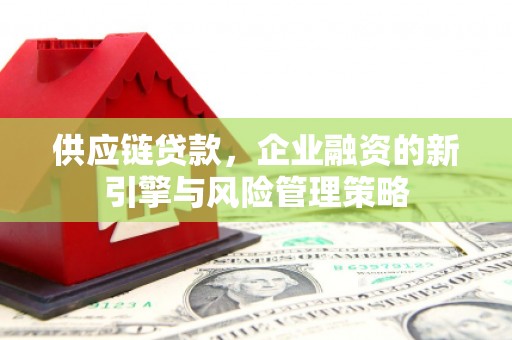 大武供应链贷款，企业融资的新引擎与风险管理策略