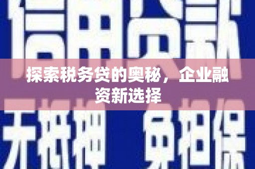 大武探索税务贷的奥秘，企业融资新选择