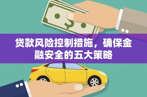 大武贷款风险控制措施，确保金融安全的五大策略