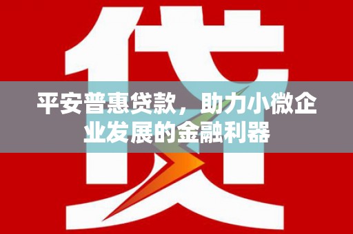 大武平安普惠贷款，助力小微企业发展的金融利器
