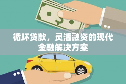 大武循环贷款，灵活融资的现代金融解决方案