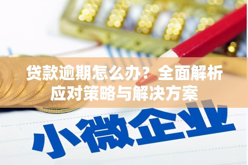 大武贷款逾期怎么办？全面解析应对策略与解决方案