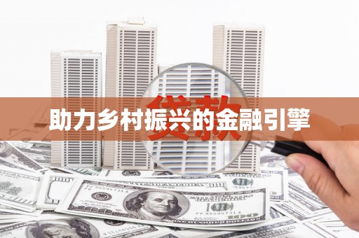 大武助力乡村振兴的金融引擎