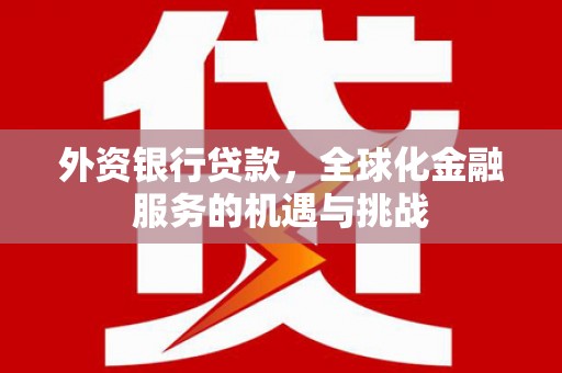 大武外资银行贷款，全球化金融服务的机遇与挑战