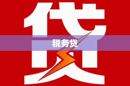 大武税务贷