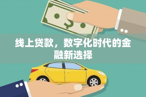 大武线上贷款，数字化时代的金融新选择