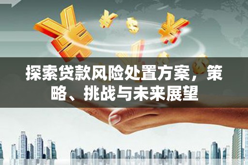 大武探索贷款风险处置方案，策略、挑战与未来展望