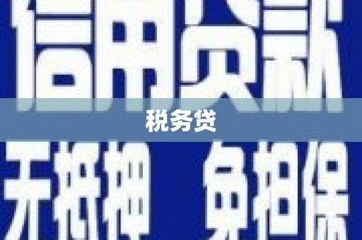大武税务贷