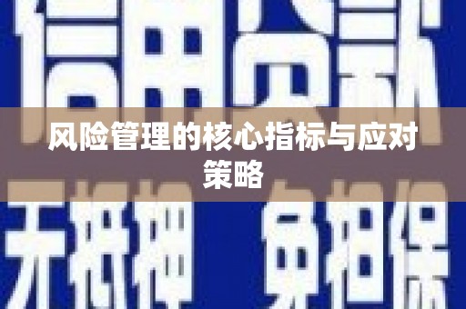 大武风险管理的核心指标与应对策略