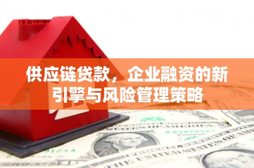 大武供应链贷款，企业融资的新引擎与风险管理策略