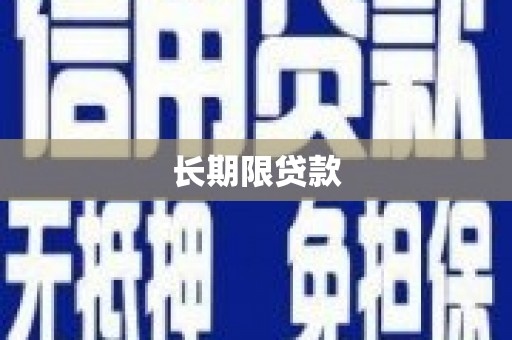 大武长期限贷款