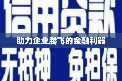 大武助力企业腾飞的金融利器