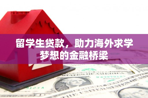 大武留学生贷款，助力海外求学梦想的金融桥梁