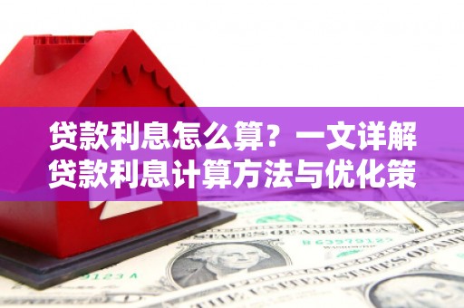 大武贷款利息怎么算？一文详解贷款利息计算方法与优化策略