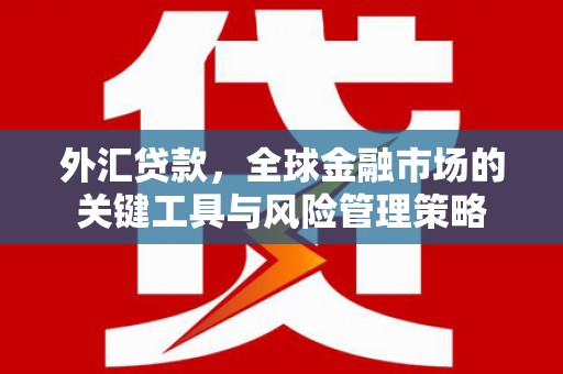 大武外汇贷款，全球金融市场的关键工具与风险管理策略