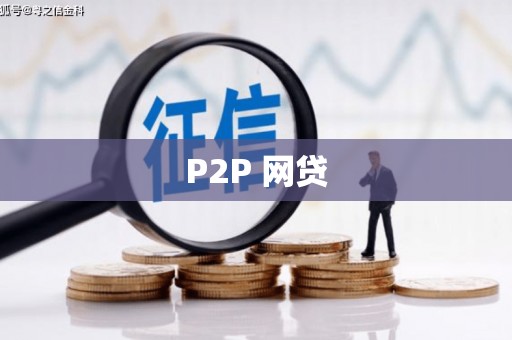 大武P2P 网贷