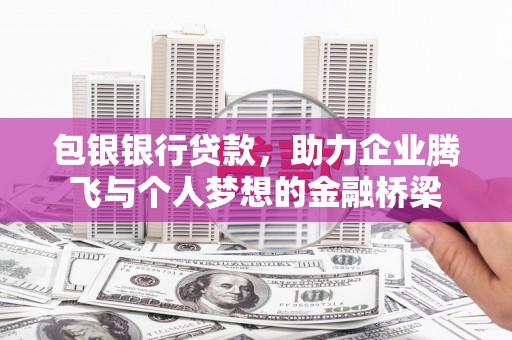 大武包银银行贷款，助力企业腾飞与个人梦想的金融桥梁