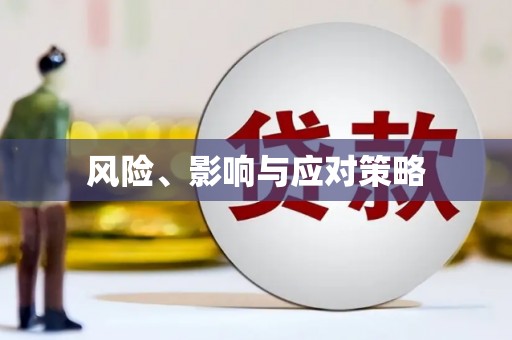 大武风险、影响与应对策略
