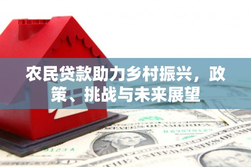 大武农民贷款助力乡村振兴，政策、挑战与未来展望