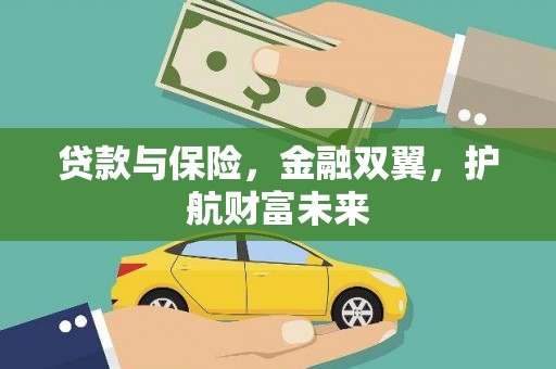 大武贷款与保险，金融双翼，护航财富未来