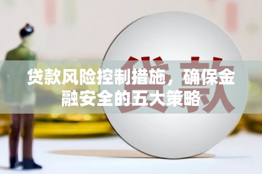 大武贷款风险控制措施，确保金融安全的五大策略