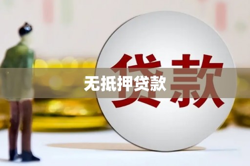 大武无抵押贷款