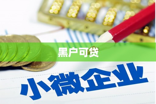 大武黑户可贷
