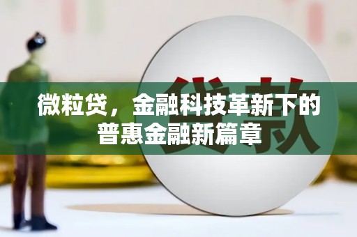 大武微粒贷，金融科技革新下的普惠金融新篇章